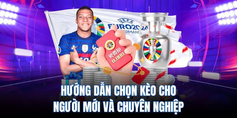 Hướng dẫn chọn kèo cho người mới và chuyên nghiệp